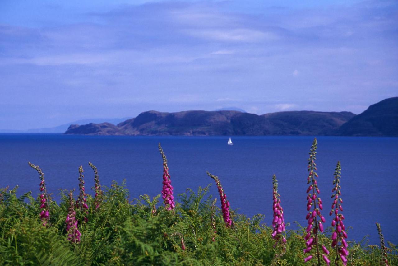 Glengorm Castle Bed & Breakfast Tobermory Luaran gambar